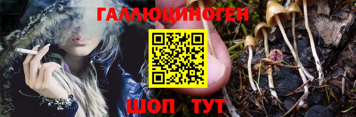 Советская Гавань  Галлюциногенные грибы мицелий  Вход с VPN 