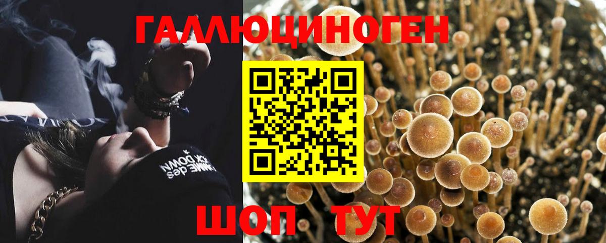 Псилоцибиновые грибы прущие грибы Советская Гавань