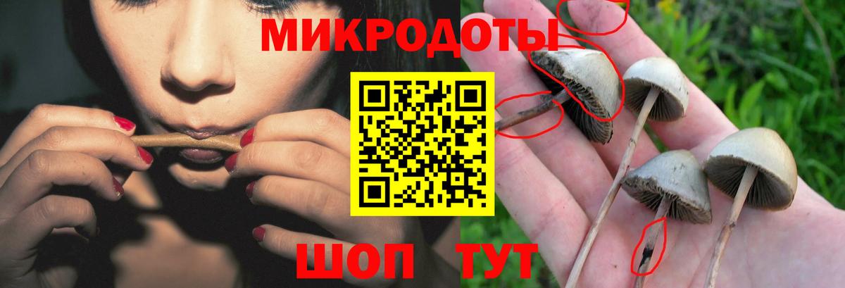 Каннабис  Гашиш  КОКАИН  МЕФ   LSD-25  Советская Гавань  Вход с VPN 